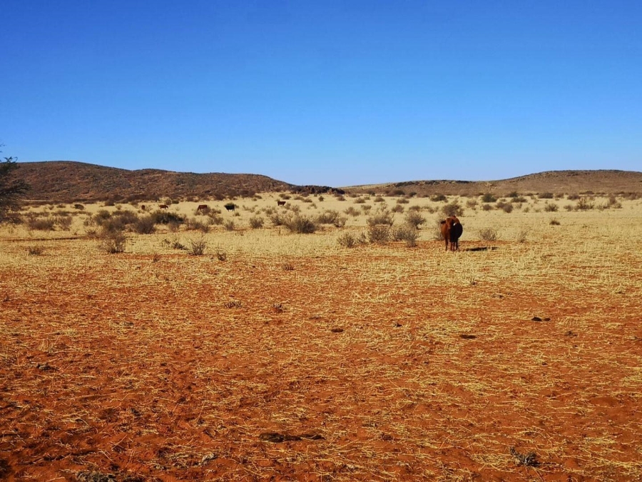 0 Bedroom Property for Sale in Upington Rural Northern Cape